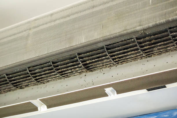 Best Air Vent Cleaning Services  in Mather, CA